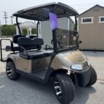 2020 EzGo RXV - Lithium Gold/Black