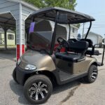 2020 EzGo RXV - Lithium Gold/Black