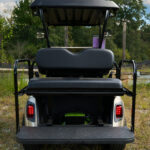 2020 EzGo RXV - Lithium Gold/Black