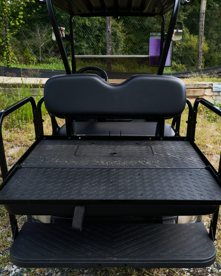 2020 EzGo RXV - Lithium Gold/Black