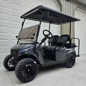 2019 Ezgo Txt EFI