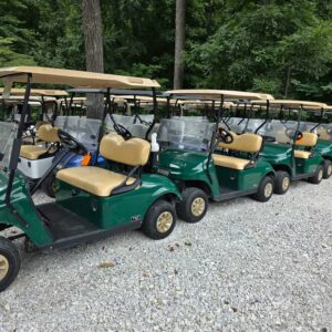 2019 Ezgo Txt Gas EFI