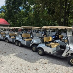 2019 Ezgo Txt Gas EFI