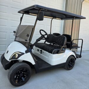 2017 Yamaha Drive2 EFI Gas