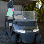 2019 EZGO RXV Lithium