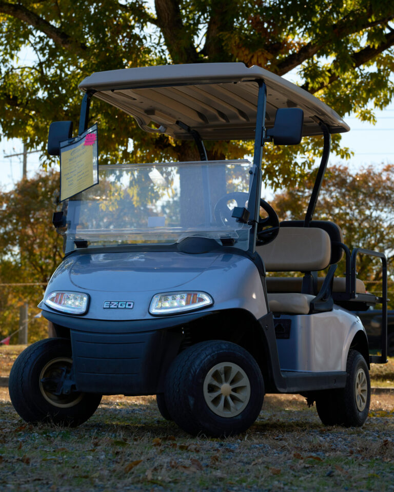 2019 EzGo RXV Lithium