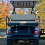 2019 EzGo RXV Lithium