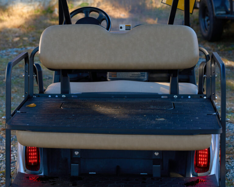 2019 EzGo RXV Lithium