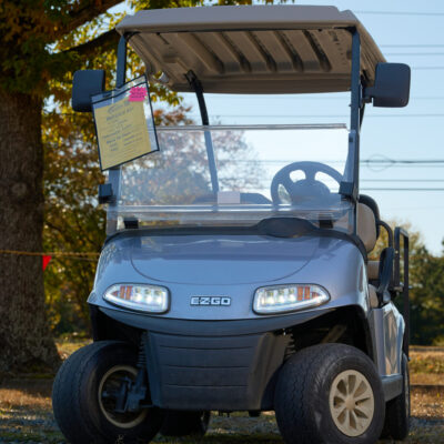2019 EzGo RXV Lithium