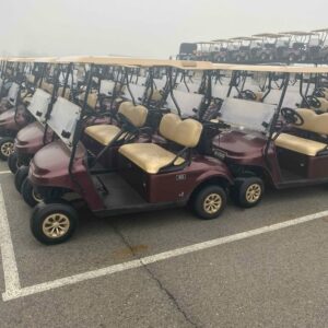2022 Ezgo Txt Gas EFI