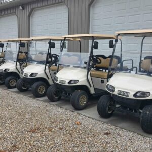 (8) 2019 Ezgo Txt Gas