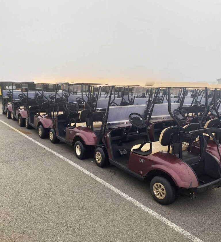 2022 Ezgo Txt Gas EFI