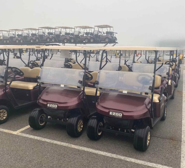 2022 Ezgo Txt Gas EFI