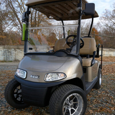 2020 EzGo RXV Gold/Tan Double lithium