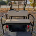 5547534-GoldTan-3-scaled 2020 EzGo RXV Gold/Tan Double lithium