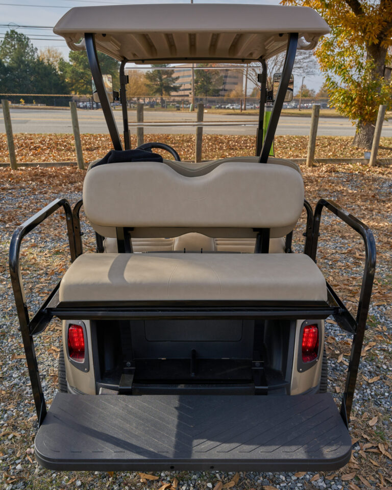 5547534-GoldTan-3-scaled 2020 EzGo RXV Gold/Tan Double lithium
