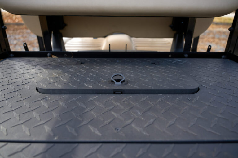 5547534-GoldTan-5-scaled 2020 EzGo RXV Gold/Tan Double lithium