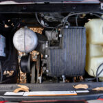 JOA-0095792-scaled 2017 Yamaha Drive 2 Gas EFI