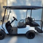2020 Ezgo Txt Gas EFI