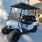 2020 Ezgo Txt Gas EFI