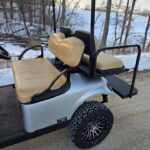 2019 Ezgo Txt Gas EFI
