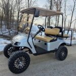 2019 Ezgo Txt Gas EFI
