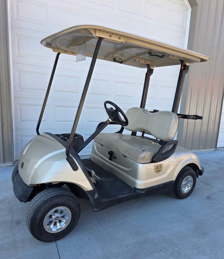 2013 Yamaha Drive Gas ⛽️