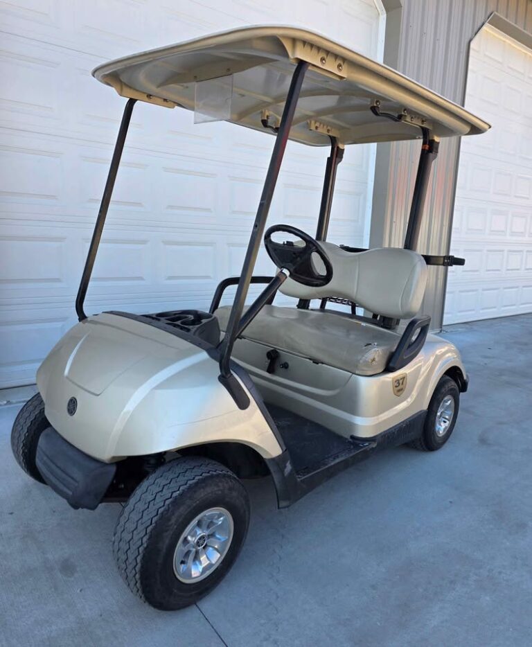 2013 Yamaha Drive Gas ⛽️