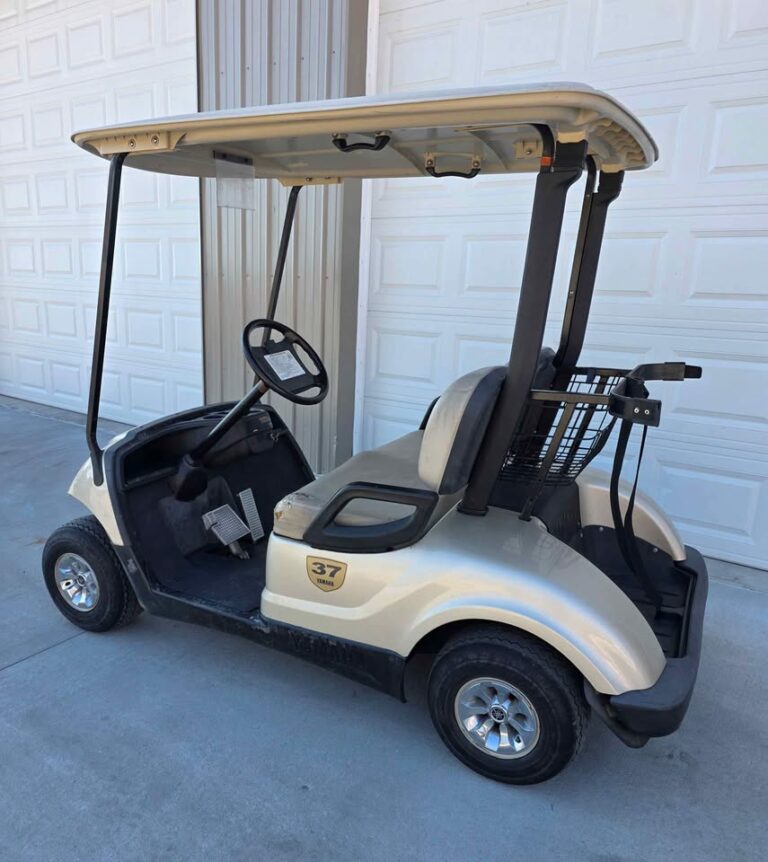 2013 Yamaha Drive Gas ⛽️