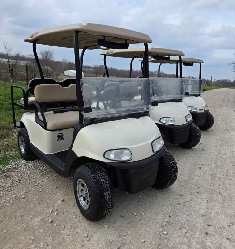 (3) 2017 Ezgo Rxv (Lithium)