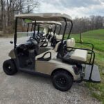 (4) 2019 Ezgo Rxv (Lithium) Eco Battery