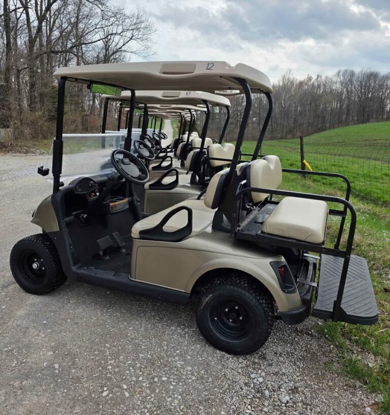 (4) 2019 Ezgo Rxv (Lithium) Eco Battery