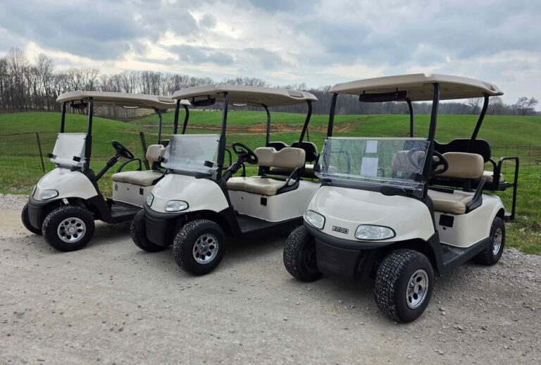 (3) 2017 Ezgo Rxv (Lithium)