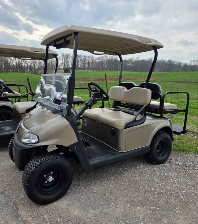 (4) 2019 Ezgo Rxv (Lithium) Eco Battery