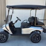 2019 Ezgo Txt Gas EFI ⛽️