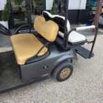 2019 Ezgo Txt Gas