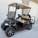 2021 EZGO RXV ELITE