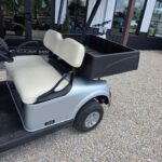 2021 Ezgo Rxv Gas EFI