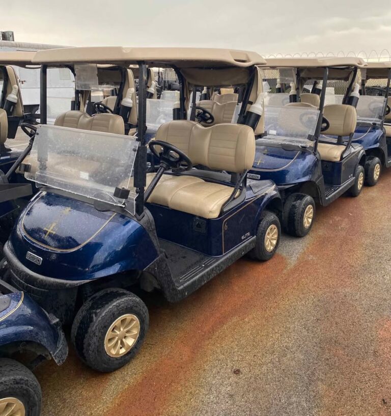 (40) 2021 Ezgo Rxv (Lithium)