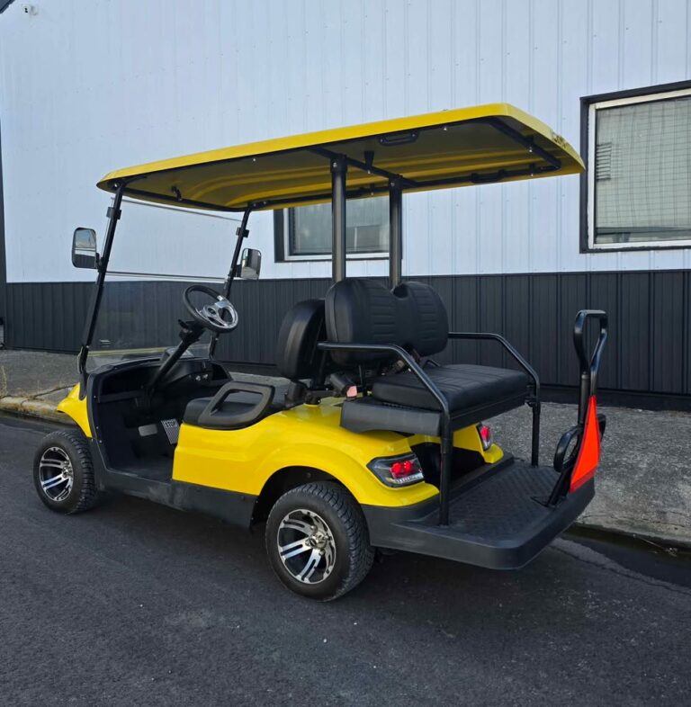 2022 Icon Electric