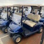 (40) 2021 Ezgo Rxv (Lithium)