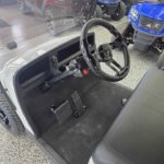 2020 Ezgo Txt Gas EFI 